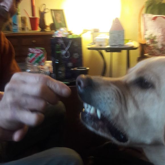 Meet your Posher, Michael - Picture 1 of 1